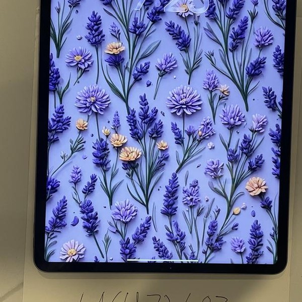 Apple iPad Pro 12.9 inch 6th Gen 2022 - Wi-Fi, 256 GB, Silver