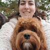 DogMom3000