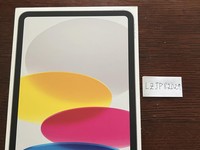 Apple iPad 11th Gen
