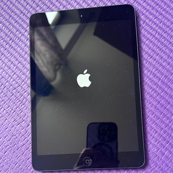 Apple iPad Mini - Wi-Fi, 16 GB, Black