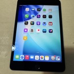 Good Apple iPad Mini (5th Gen) - Unlocked, 256 GB, Gray