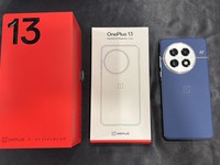 OnePlus 13