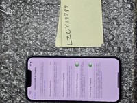 Apple iPhone 13