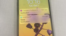 Mint
													Apple iPhone Xs Max - T-Mobile, Gray, 64 GB, A1921, photo 2 of 12