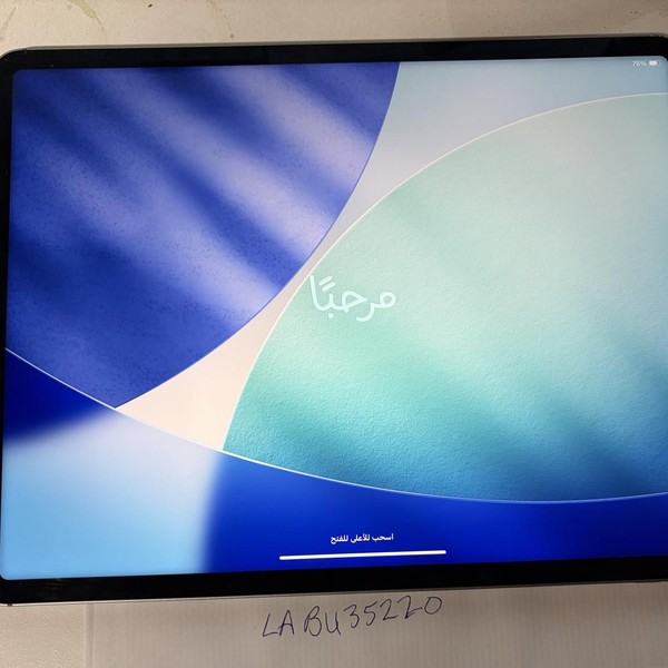 Apple iPad Pro 12.9 inch 6th Gen 2022 - Unlocked, 256 GB, Gray