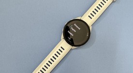 Mint
													Garmin Forerunner 165 - Gray, Standard, photo 2 of 4