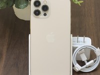Apple iPhone 12 Pro Max