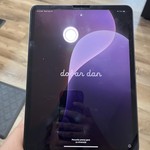 Mint Apple iPad Pro 11 inch 2nd Gen 2020 - Wi-Fi, 256 GB, Gray, A2228