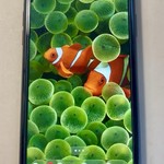 Good Apple iPhone 11 - Unlocked, 64 GB, Black, A2111