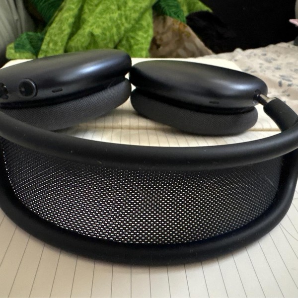 Apple AirPods Max - Gray