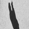 Cheryl C.
