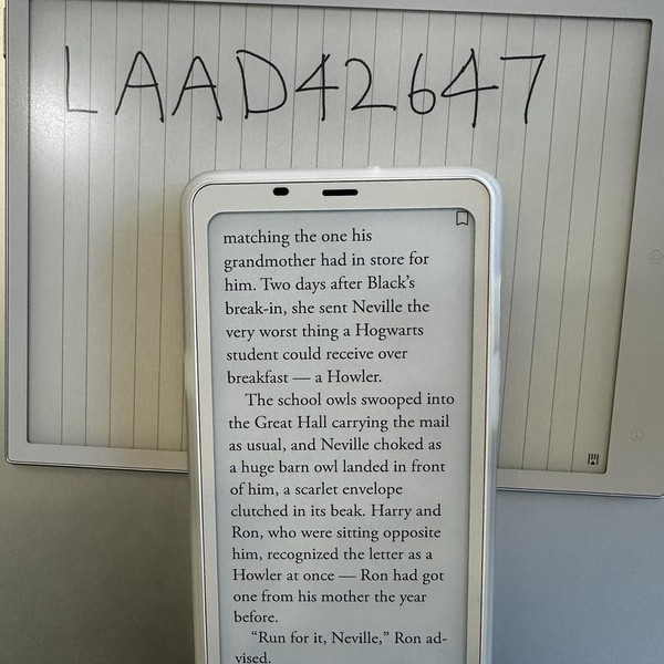 BOOX Palma 2 - White