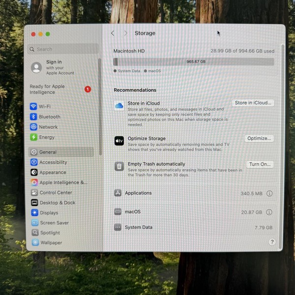 Mac mini 2020 - 1 TB, Silver, 16 GB, Apple M1