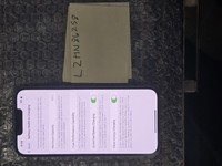 Apple iPhone 13