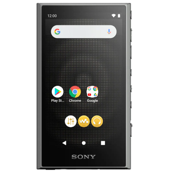 Sony NW-A306 for sale