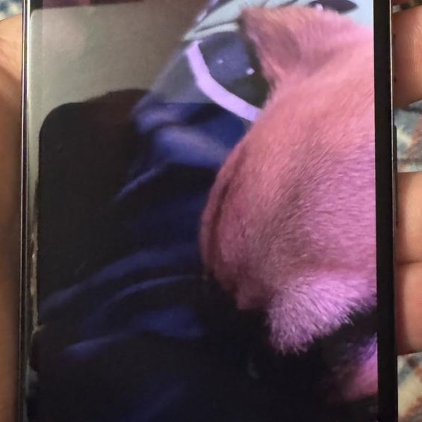 Google Pixel 8a - T-Mobile, 128 GB, Obsidian, 8 GB, GKV4X, Sub-6 5G