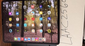 Mint
													Apple iPad Pro 12.9" 4th Gen 2020 - Wi-Fi, Gray, 256 GB, A2229, photo 5 of 9