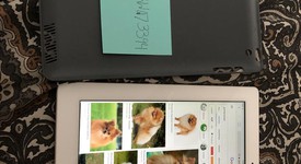 Good
													Apple iPad 4 - Wi-Fi, White, 16 GB, A1458, photo 2 of 9