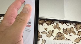 Mint
													Apple iPhone 15 Plus - Spectrum, Black, 128 GB, A2847, photo 3 of 6