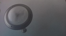 Mint
													Samsung Galaxy Tab S10 Plus - Wi-Fi, Moonstone Gray, 256 GB, 12 GB, SM-X820, photo 2 of 8