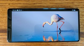 Good
													Google Pixel 7 Pro - Unlocked, Obsidian, 128 GB, 12 GB, GE2AE, photo 3 of 7