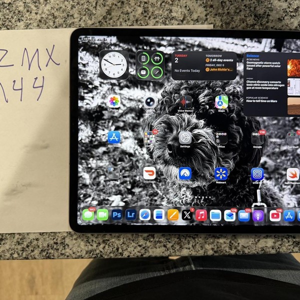 Apple iPad Pro 12.9 inch 6th Gen 2022 - Unlocked, 256 GB, Gray