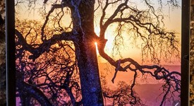 Mint
													Samsung Galaxy Tab S10 Plus - Wi-Fi, Moonstone Gray, 512 GB, 12 GB, SM-X820, photo 2 of 22