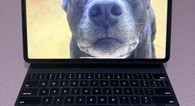 Mint
													Apple iPad Pro 12.9" 4th Gen 2020 - Wi-Fi, Gray, 128 GB, A2229, photo 1 of 13