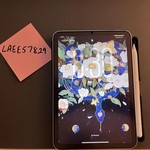 Mint Apple iPad Mini (7th Gen) - Wi-Fi, 128 GB, Gray, A2993