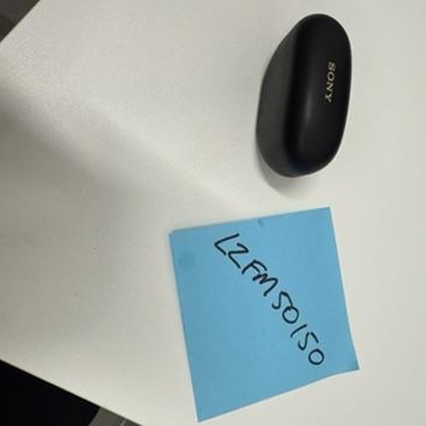 Sony WF-1000XM5 - Black