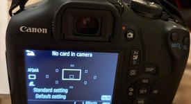 Mint
													Canon EOS Rebel T7, photo 5 of 6