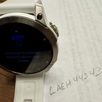 Good Garmin epix Gen 2 - White, Sapphire