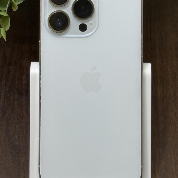 Apple iPhone 13 Pro - Unlocked, 256 GB, Silver, A2483