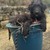 Seller: Leslie K.