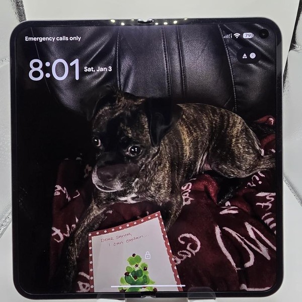 Google Pixel 10 Pro Fold - Unlocked, 256 GB, Moonstone, GU0NP