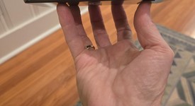 Mint
													Samsung Galaxy S10 - Unlocked, Black, 128 GB, 8 GB, SM-G973U1, photo 4 of 14