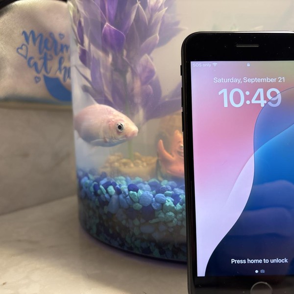 Apple iPhone SE 3rd Gen 2022 - Verizon, 64 GB, Midnight, A2595