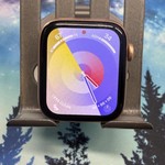 Fair Apple Watch SE (1st Gen) 44mm - Unlocked, Gray, A2354 - Cellular, Aluminum