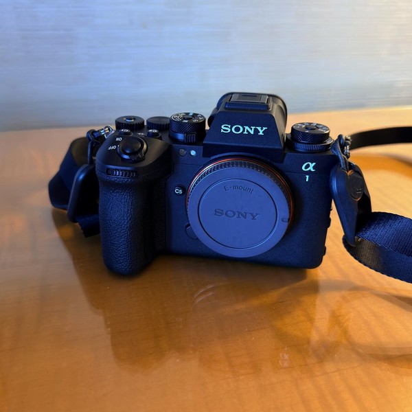 Sony a1