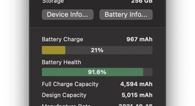 Good
													Apple iPad Mini 6th Gen - Unlocked, Gray, 256 GB, A2568, photo 3 of 10