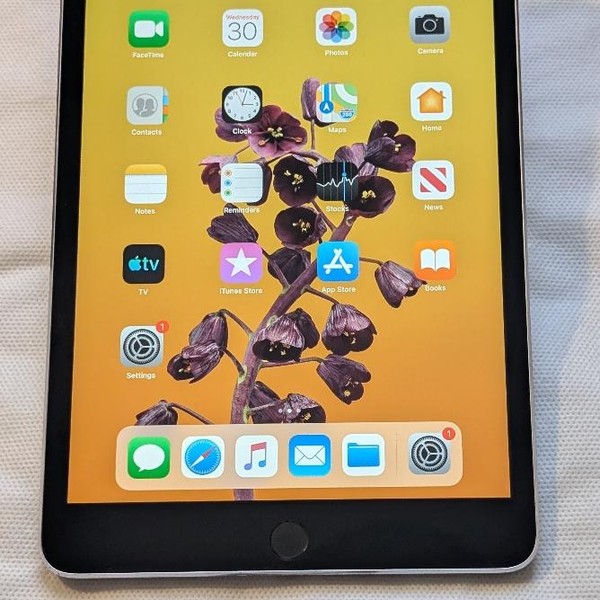 Apple iPad Mini 3 - Wi-Fi, 16 GB, Gray, A1599