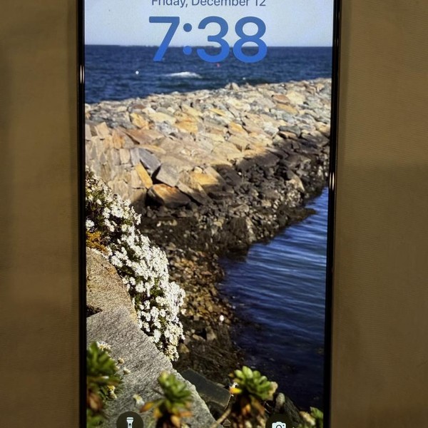 Apple iPhone 15 Pro Max - Unlocked, 256 GB, Natural, A2849