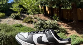 New
													Nike Dunk Low Retro White Black Panda (2021) (GS) - 7, photo 1 of 2