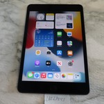 Good Apple iPad Mini (5th Gen) - Wi-Fi, 64 GB, Gray