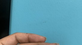 Mint
													Apple Watch Series 11 42mm - Silver, A3331 - GPS, Aluminum, photo 6 of 6