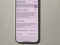 Apple iPhone 16 Pro Max