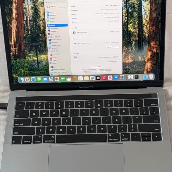 MacBook Pro 2019 - 13 inch - 256 GB, Gray, 8 GB, Intel Core i7