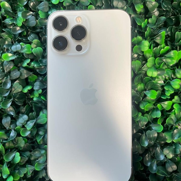 Apple iPhone 13 Pro Max - Unlocked, 1 TB, Silver, A2484