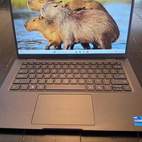 Dell Latitude 7420 - 256 GB, Carbon Gray, 16 GB, Intel Core i5
