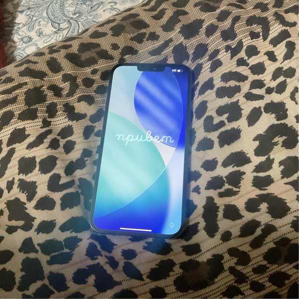 Apple iPhone 13 Pro Max - Unlocked, Sierra Blue, 256 GB, A2484